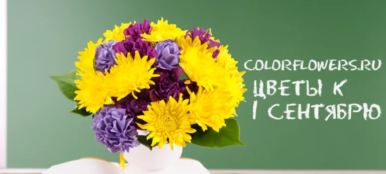 Цветы на линейку в школу: Идеальный букет для особенных моментов