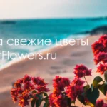 Почему наши цветы всегда свежие: Секреты качества от ColorFlowers