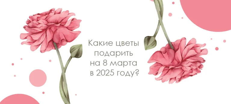Какие цветы подарить на 8 марта в 2025 году?