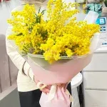 Букет из 11 мимоз
